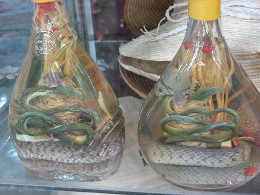 Snake wine