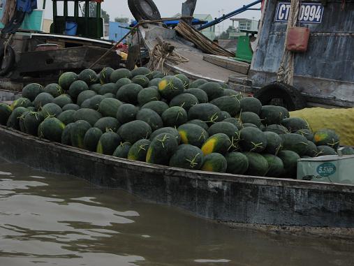 Floating Market