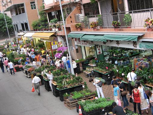Flower Market