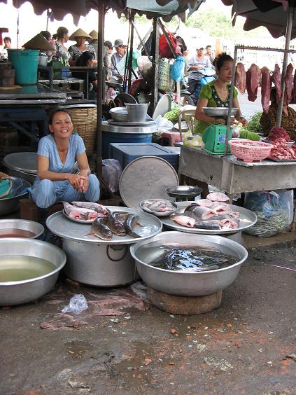 Market6