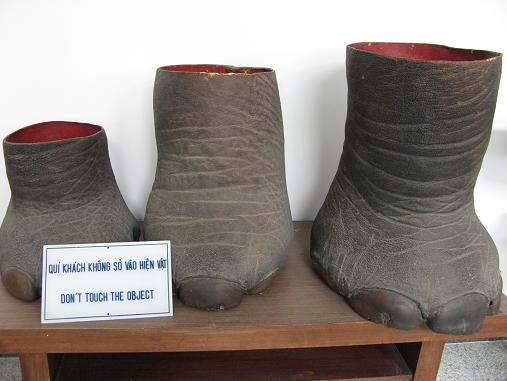 Elephant Feet