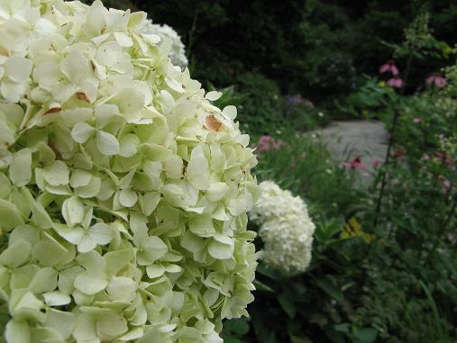 Conservatory Garden