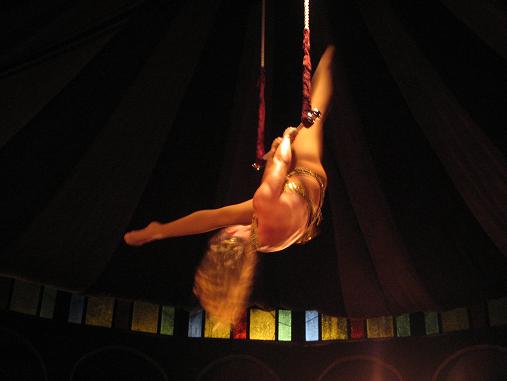 Trapeze Artist