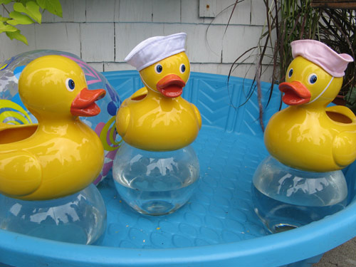 Duckies