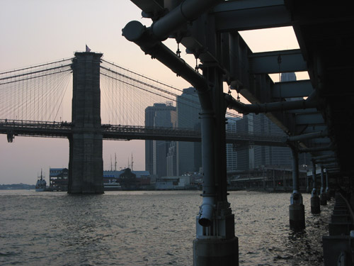 FDR View