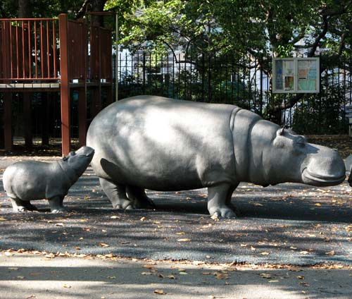 Safari Playground