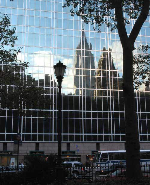 ESB Reflection