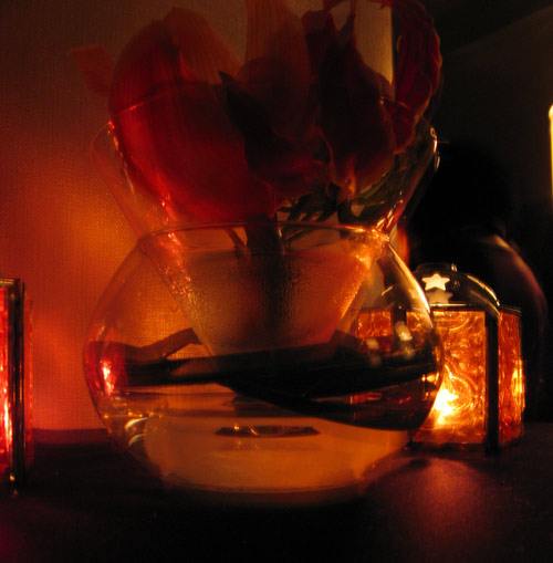Orchids