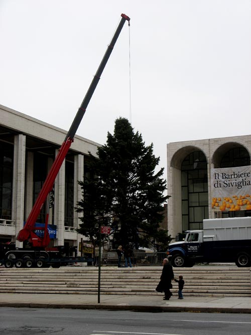 Lincoln Center Tree