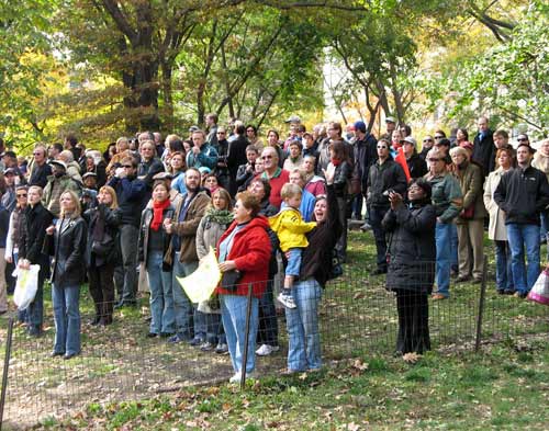 Spectators