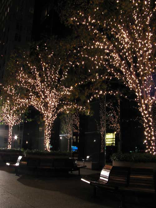 Trump Trees