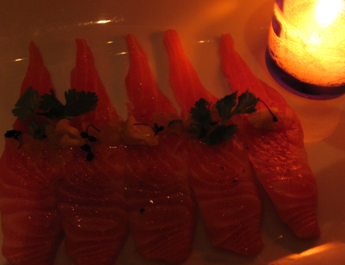 Tasmanian Trout