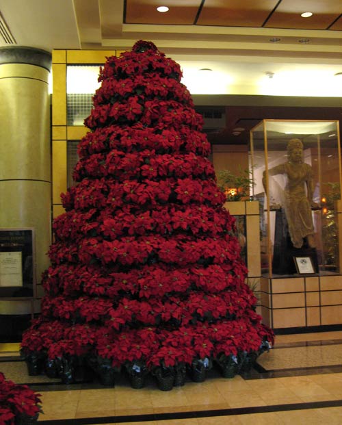 Sheraton Tree