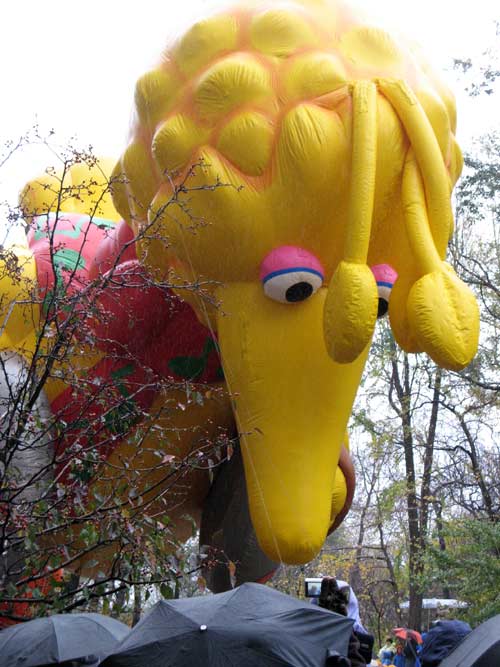 Big Bird