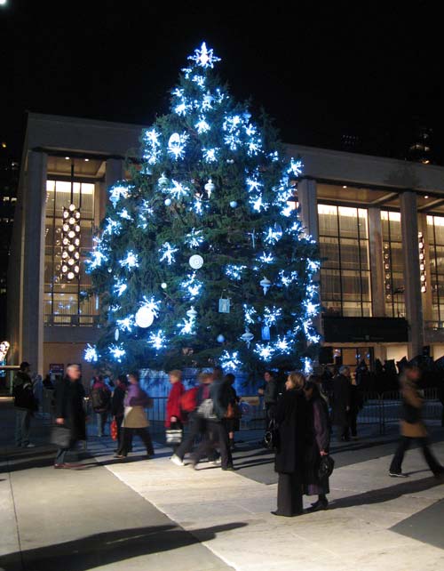 Winters Eve Tree