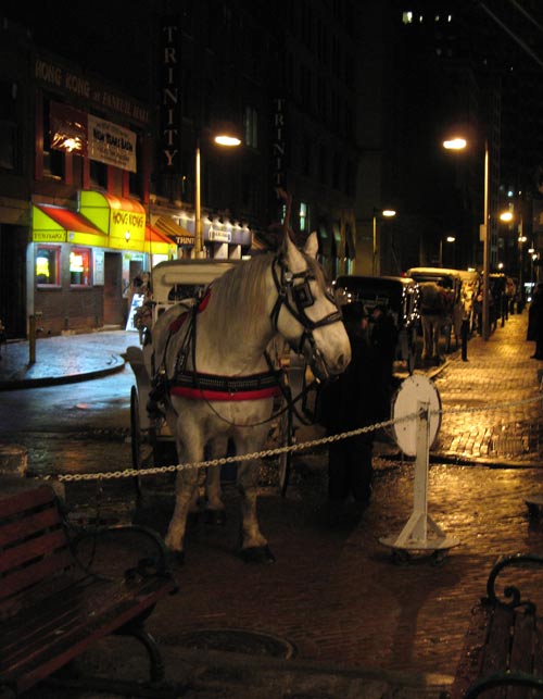 Boston Carriages