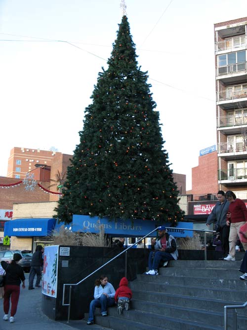 Queens Library Tree