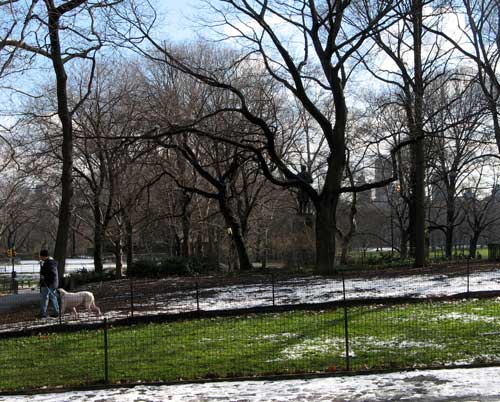Central Park First Snow