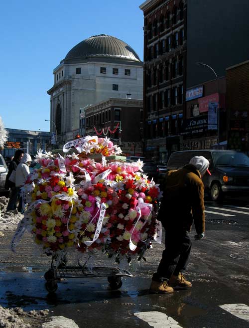 Chinatown flowers