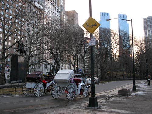 Carriage Crossing