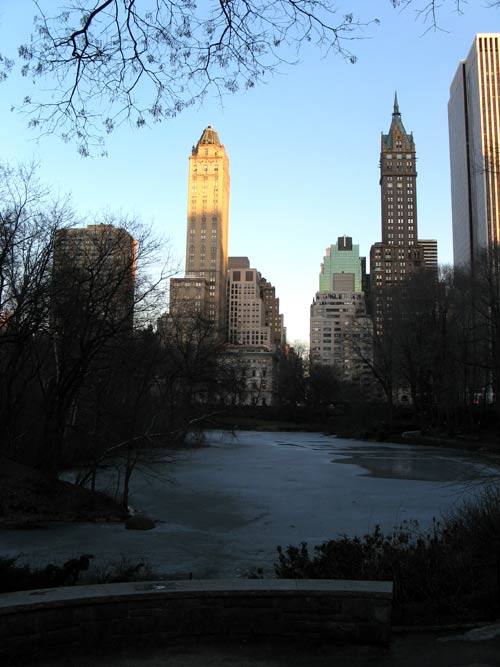 Central Park Pond