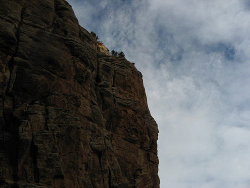 Guardian of the Canyon