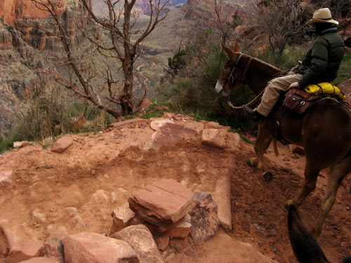Jacobs Ladder switchback
