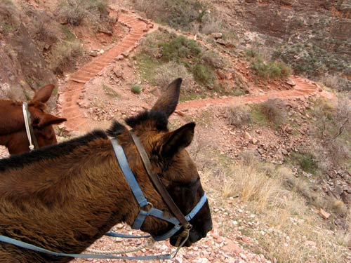 Jacobs Ladder Rest