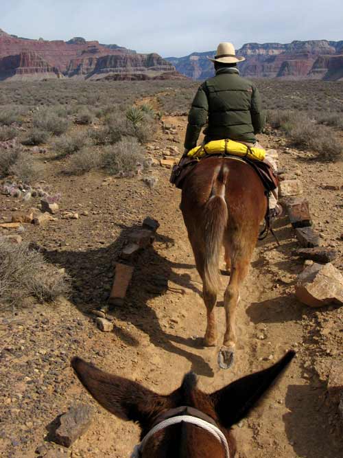 Plateau Point