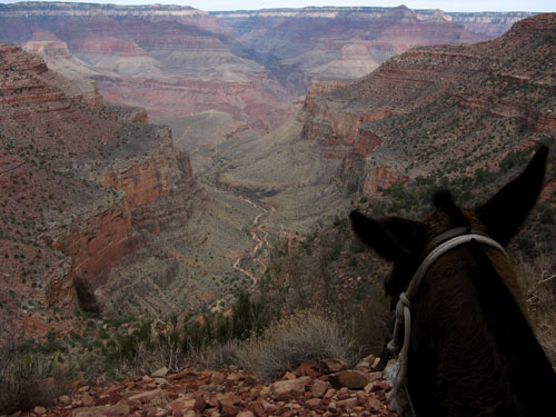 Plateau Point View