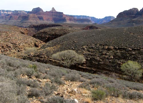 Canyon Plateau