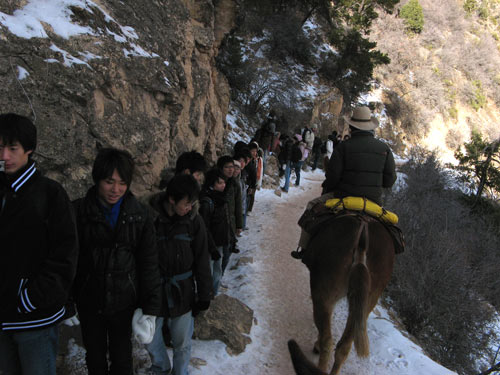 Bright Angel Trail