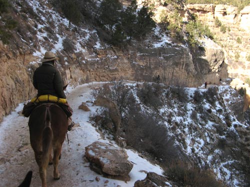 Bright Angel Trail