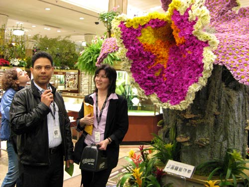 Macys Flower Show