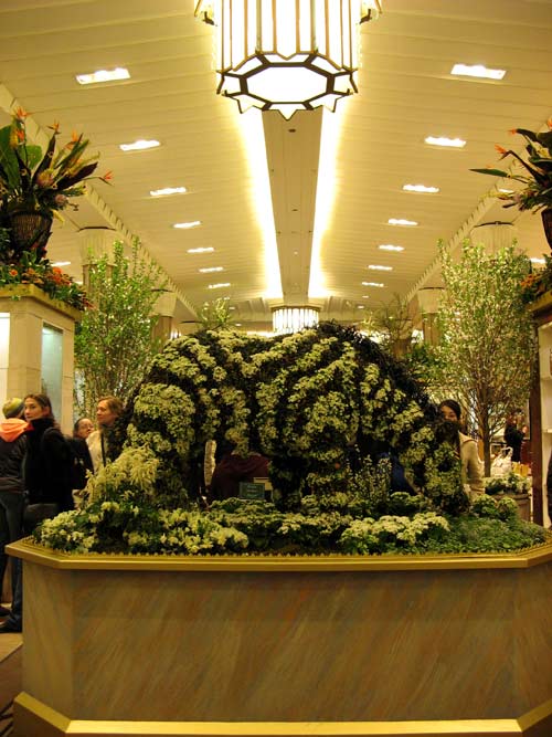 Macys Flower Show