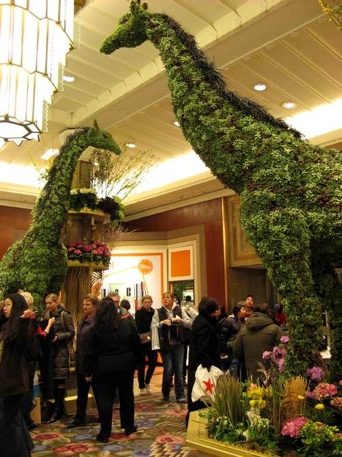 Macys Flower Show