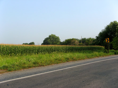 Lancaster corn