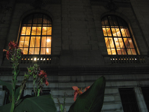 NYPL windows