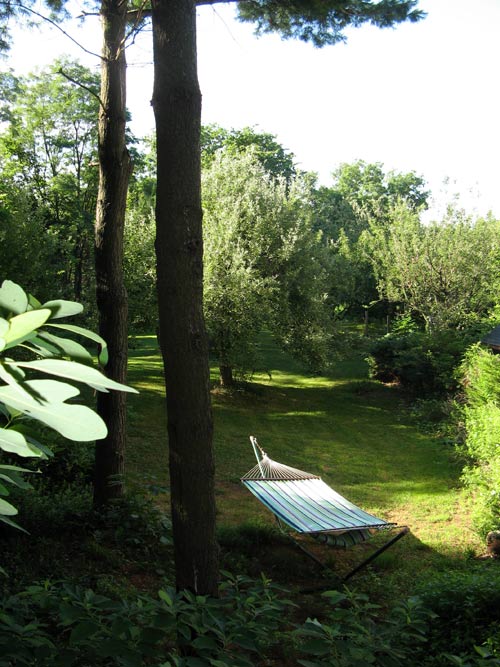 Croton hammock