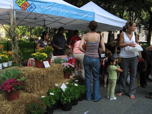 Fall Plant Market