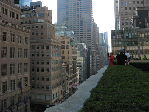 Roof garden view