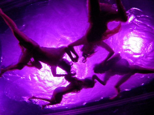 Fuerzabruta