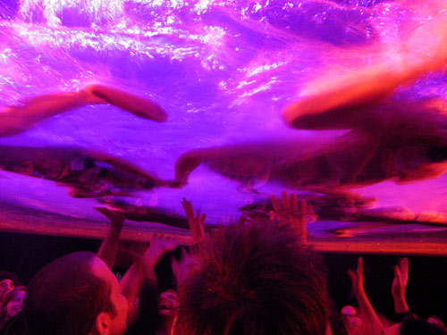 Fuerzabruta