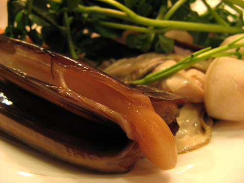 Razor Clams