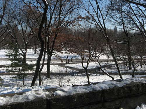Seneca Village