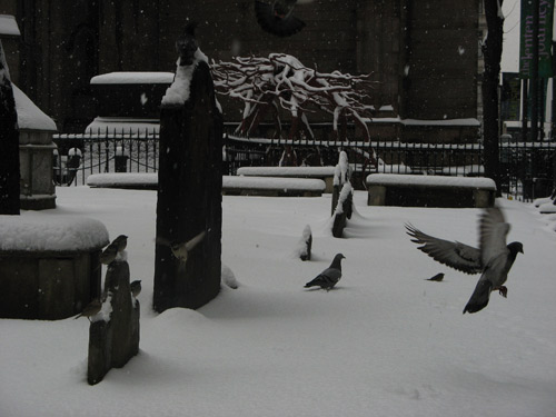Trinity Church snow