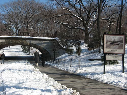 Winterdale Arch