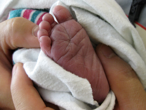Joshua foot
